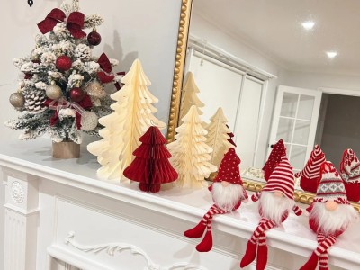 The first Christmas in my new homeπ