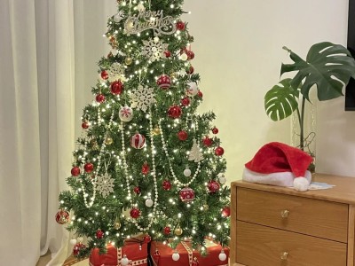 It's Christmas again!!