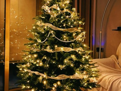 Birth of the first 1.8m Christmas tree 🎄