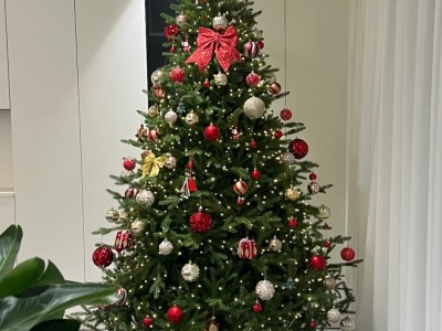 christmas tree 🎄 Red Gold yyds