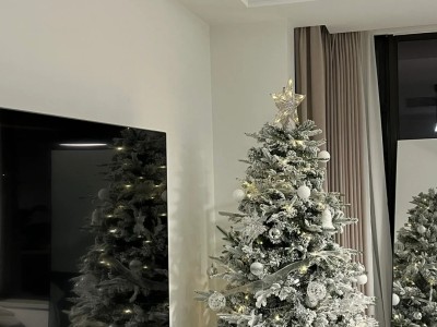 There is a Christmas treeπ