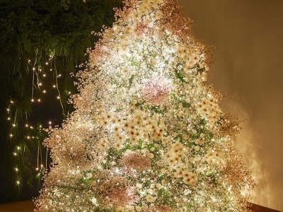 Romantic Starry Christmas Tree