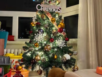 Things to note when buying a Christmas tree🎄