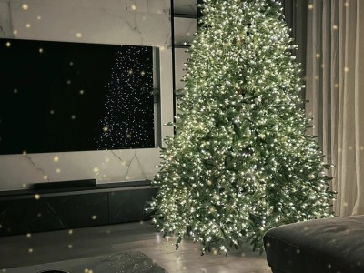 🎄The first Christmas tree in my new home, I really put my heart into it: