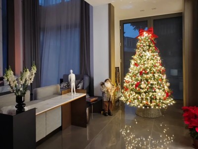 Let's take a look at my Christmas tree