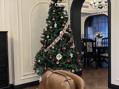 Make a giant Christmas tree