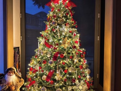 Let's take a look at my Christmas tree
