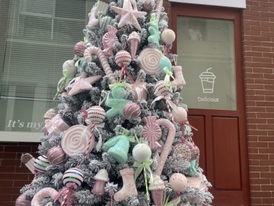 Macaron Christmas Tree 🎄yyds