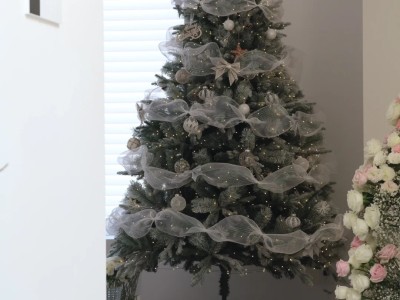 I heard you liked my Christmas tree last year