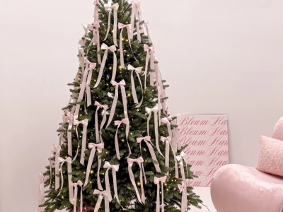 Which of the three Christmas trees looks good 🎄🎀✨