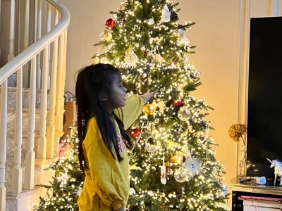 2024 Christmas Tree 🎄