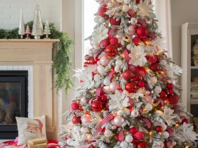 Teach you how to choose a Christmas tree step by step🎄Christmas tree guide